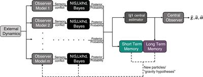 Modeling orientation perception adaptation to altered gravity environments with memory of past sensorimotor states